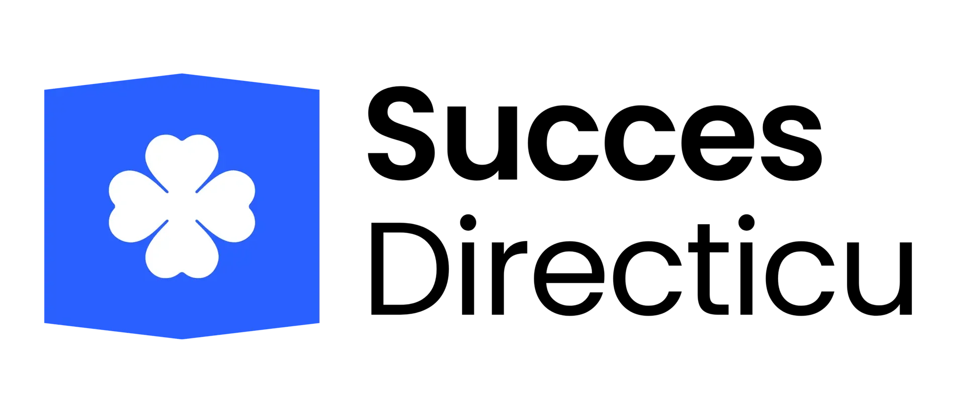 Succesdirecticiu Co